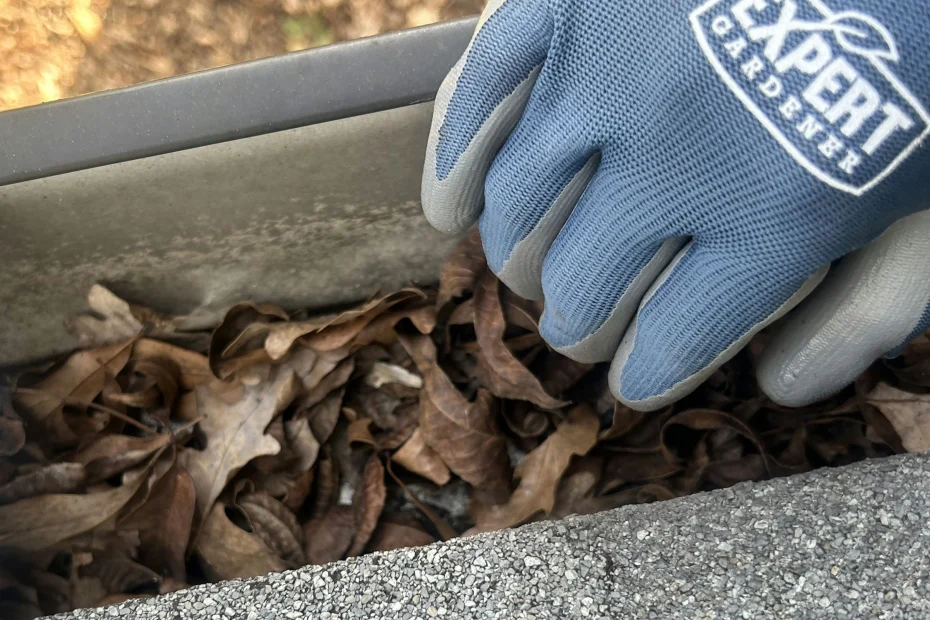 Gutter Cleaning Hueytown